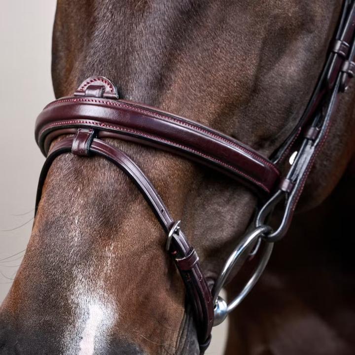 Immagine prodotto Dy'on Flash New English Collection