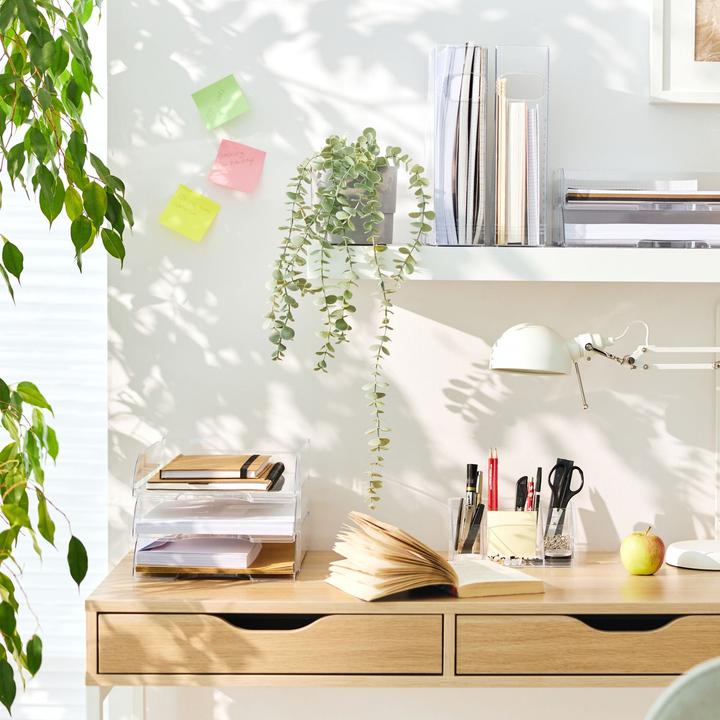 Actual product image Rotho Timeless (A4)