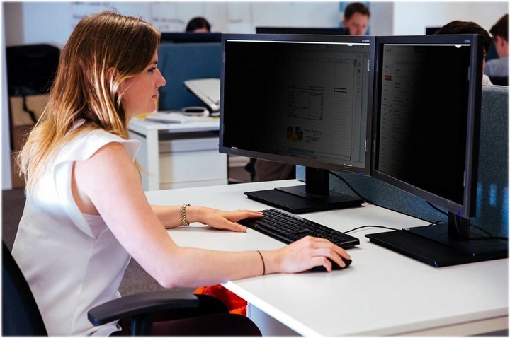 Actual product image Targus Privacy filter (24", 16 : 9)
