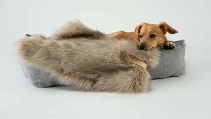 Actual product image Labbvenn Dog blanket FÖRA (Dog)