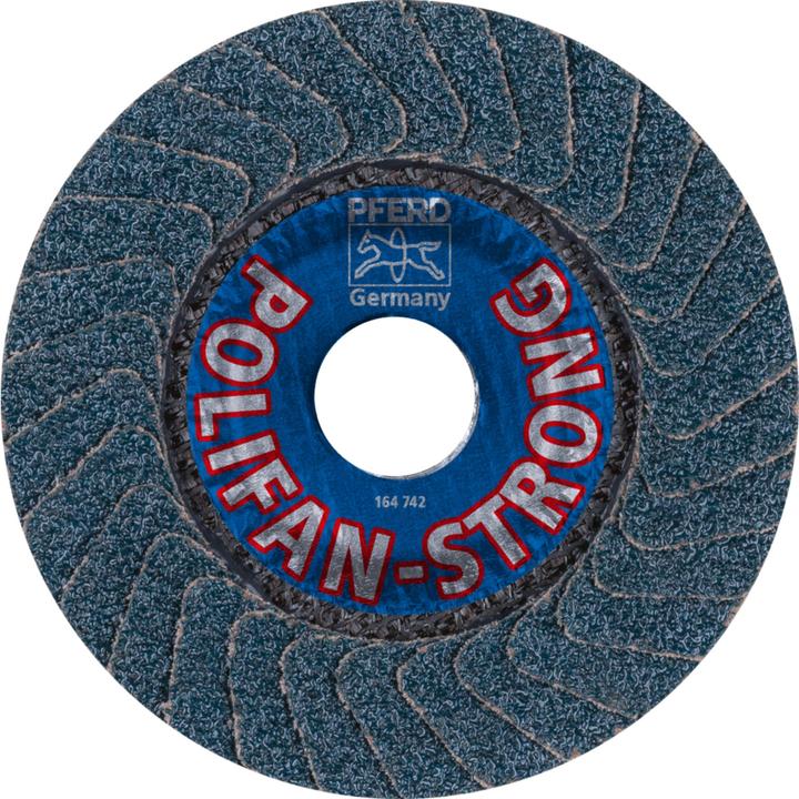 Actual product image Pferd Flap disc (36)