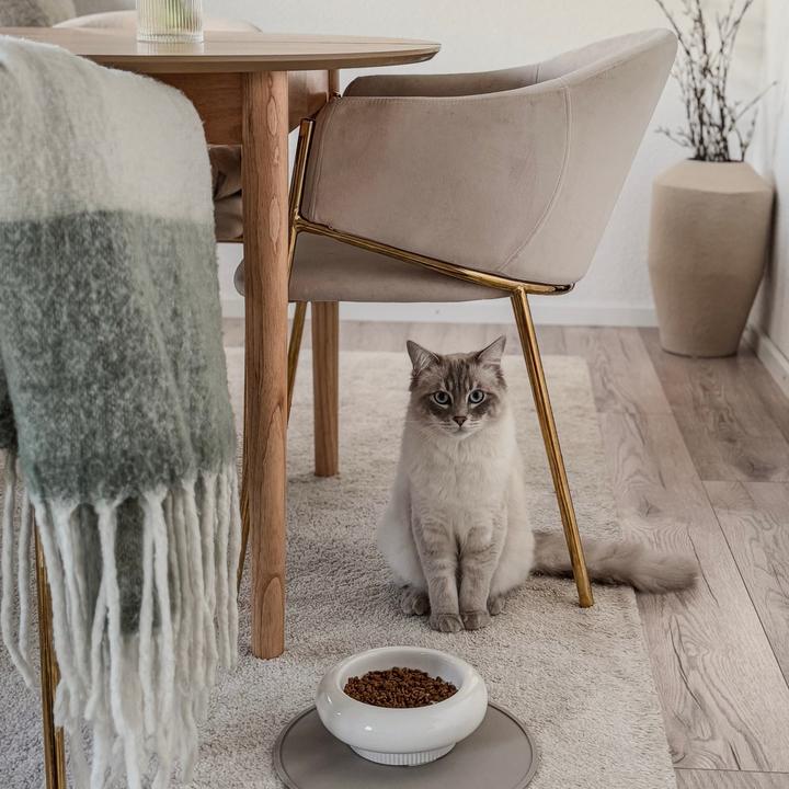 Image du produit LucyBalu MYCO Katzennapf