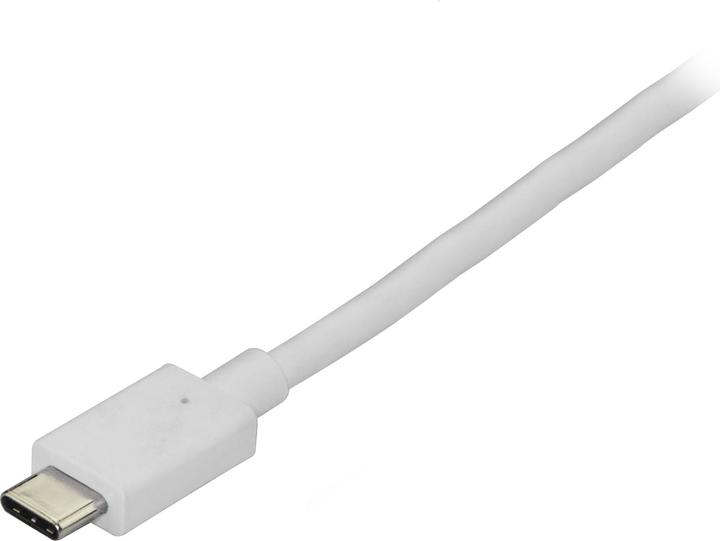 Produktbild StarTech USB Typ C — DisplayPort (1.80 m)