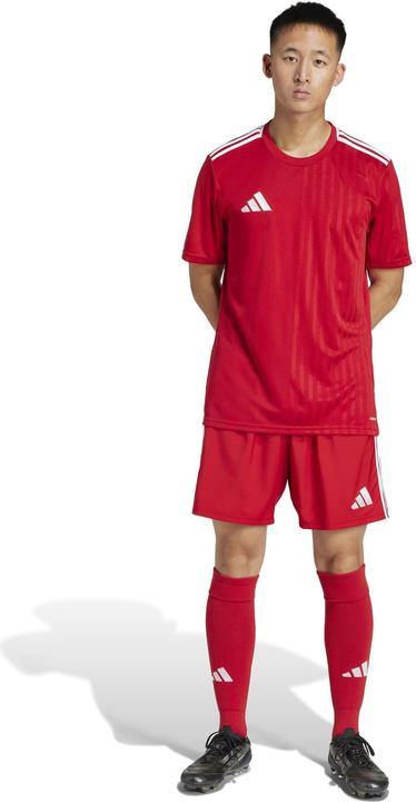 Produktbild adidas Tastigo25 Short (L)