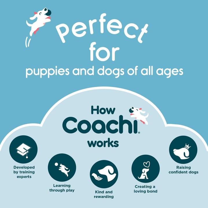 Immagine prodotto Company of Animals Manichino da addestramento Coachi (Reperimento)