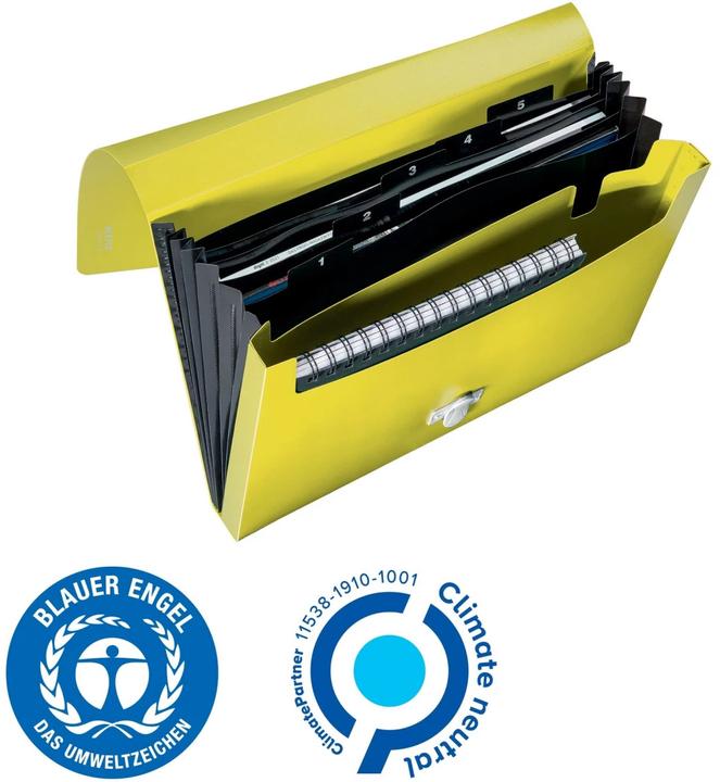 Produktbild Leitz Dokumentenmappe Projektmappe A4 Gelb (A4, 1 x)