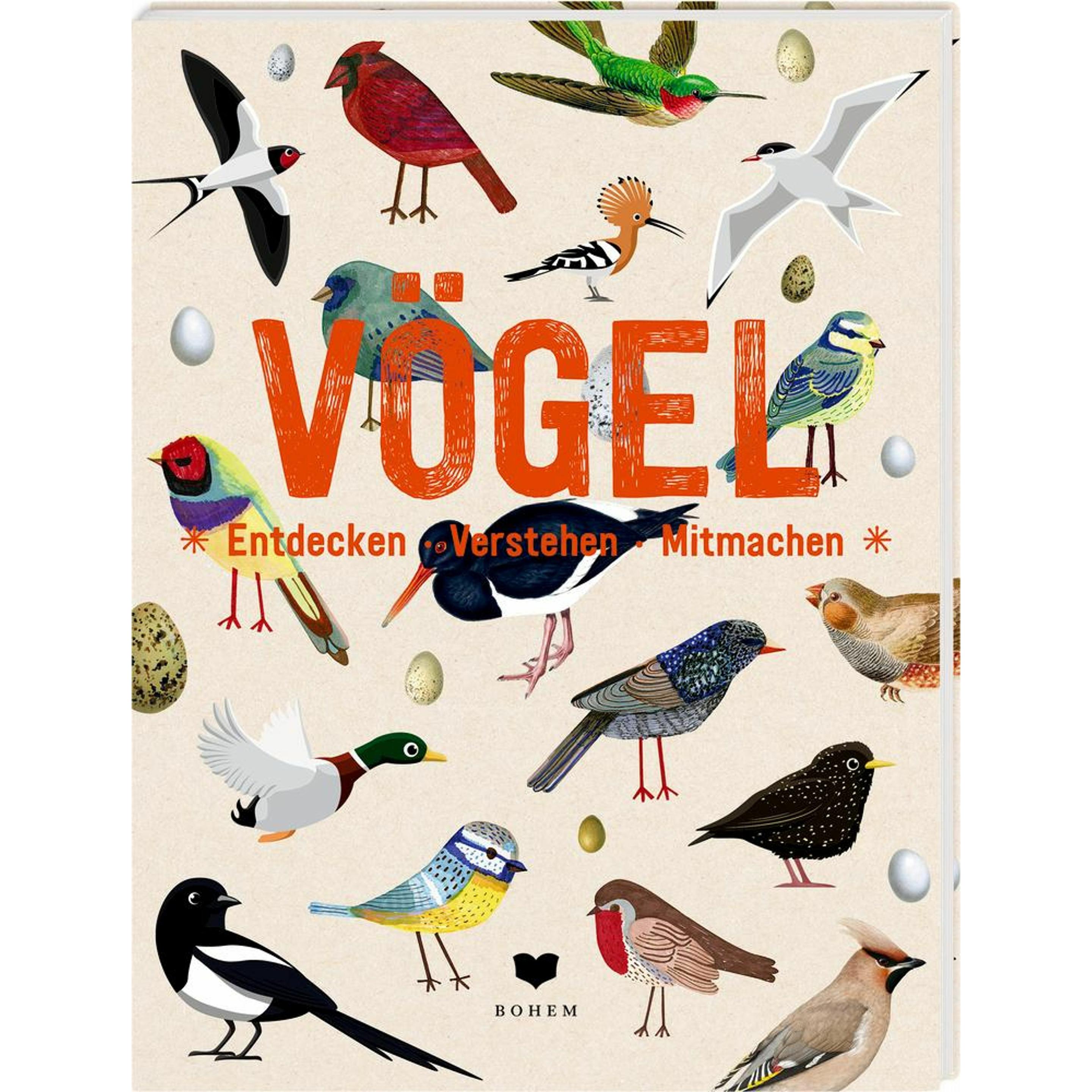 Vögel, Kinderbücher von Roots