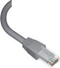 Produktbild Leviton Brand-Rex C6CPCU050-888BB, 5 m, Cat6+, U/UTP (UTP), RJ-45, RJ-45