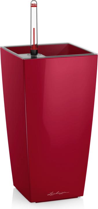 Lechuza Fioriera Maxi cubi Rosso (14 cm)
