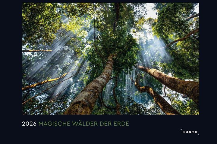 Produktbild Magische Wälder der Erde - Wandkalender 2026 (60 x 45 cm)