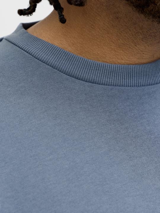 Produktbild Jack & Jones Jjebradley Sweat Crew Noos Pls