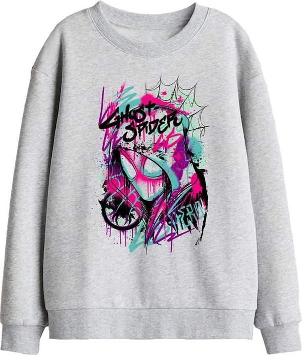 Image du produit Sweatshirt (128)