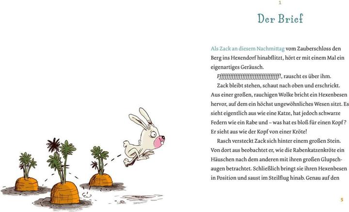 Productafbeelding Coco en Zack - Op de kostschool van de Heksendieren (Anna Lott, Nikolai Renger, Duits)