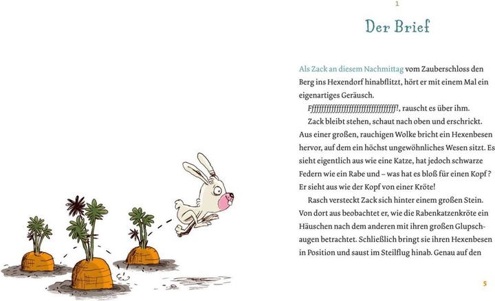 Produktbild Coco und Zack – Im Internat der Hexentiere (Anna Lott, Nikolai Renger, Deutsch)
