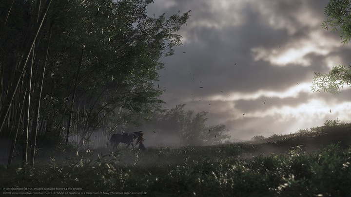Produktbild Sony Ghost of Tsushima (PS4, Multilingual)