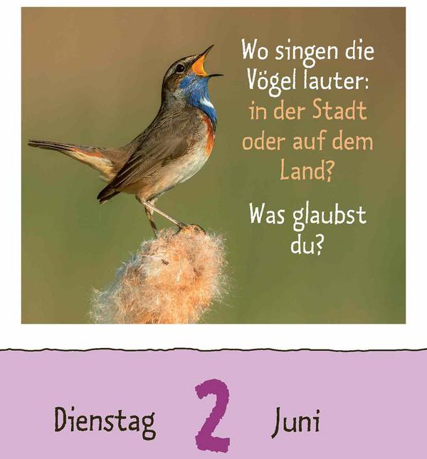 Wie faul ist das Faultier? 2026 (12 x 16 cm)