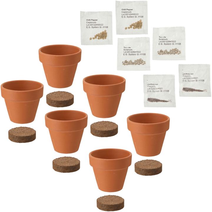 Produktbild Cepewa 2er-Set Pflanz-Set mit TontÃ¶pfen und Samen, PflanztÃ¶pfe