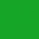 Actual product image Pebeo Setacolor Light Fabrics (Meadow green, 45 ml)