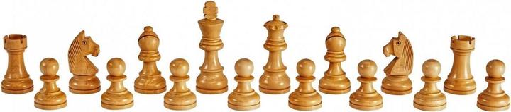 Produktbild Millennium Genius Exclusive Schachcomputer