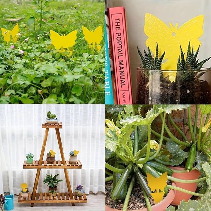 Actual product image König Design Flypaper yellow boards (20 pieces)