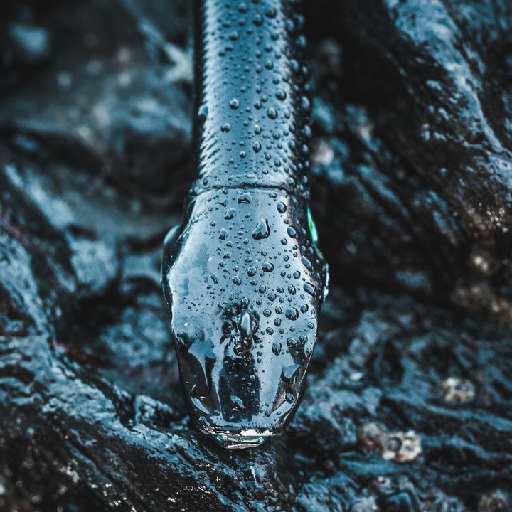 Immagine prodotto Caperlan Piuma di gomma Texas Shad Ancho 120 Shad (12 cm)