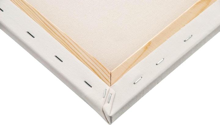 Immagine prodotto Honsell prodotti artistici Telaio per barelle Cotone 300 quadrato bianco 40,0 x 40,0 cm (40 x 40 cm)