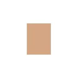 Thumbnail - Rimmel London, Foundation, Lasting Finish Powder Foundation (004 Rose Ivory)