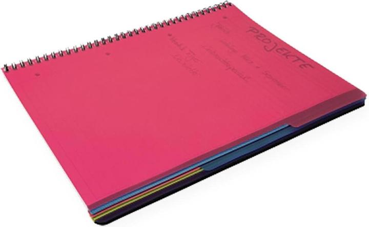 Image du produit Soennecken Officebook 2351 DIN A4+ 90g 80Bl. 4fbg. edge 3Register kar. (A4+, Quadrillé, Couverture rigide)