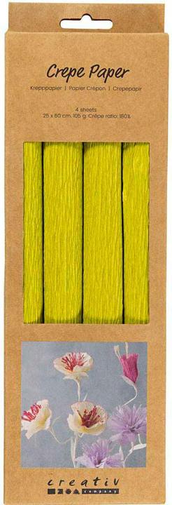 Immagine prodotto Creativ Company Krepppapier 4 Rollen 25 x 60 cm, Hellgrün (105 g/m², 4 x)