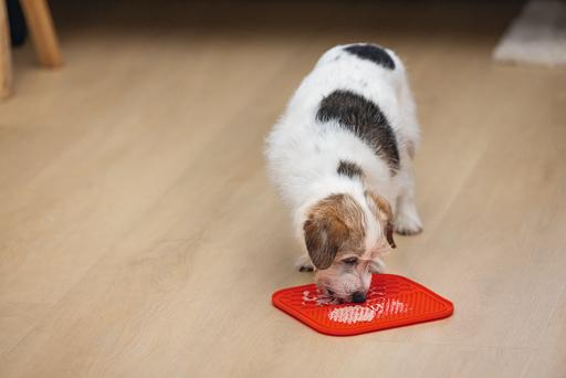 Image du produit Karlie Tapis à lécher Ava (Sac à friandises pour chien)