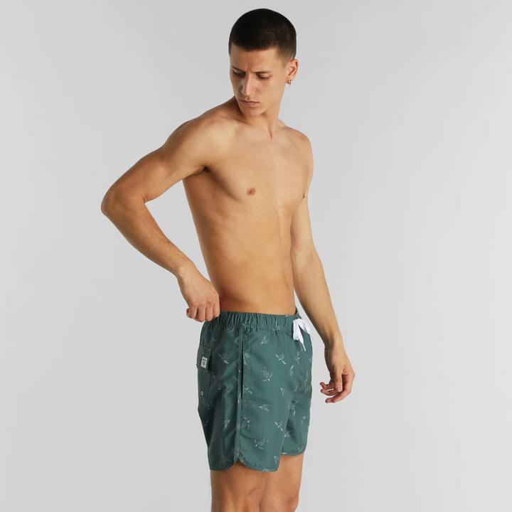 Actual product image Dedicated Swim Shorts Sandhamn Sea Turtles Forest Green S (S)
