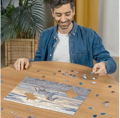Produktbild Ravensburger Pferd am Strand (500 Teile)