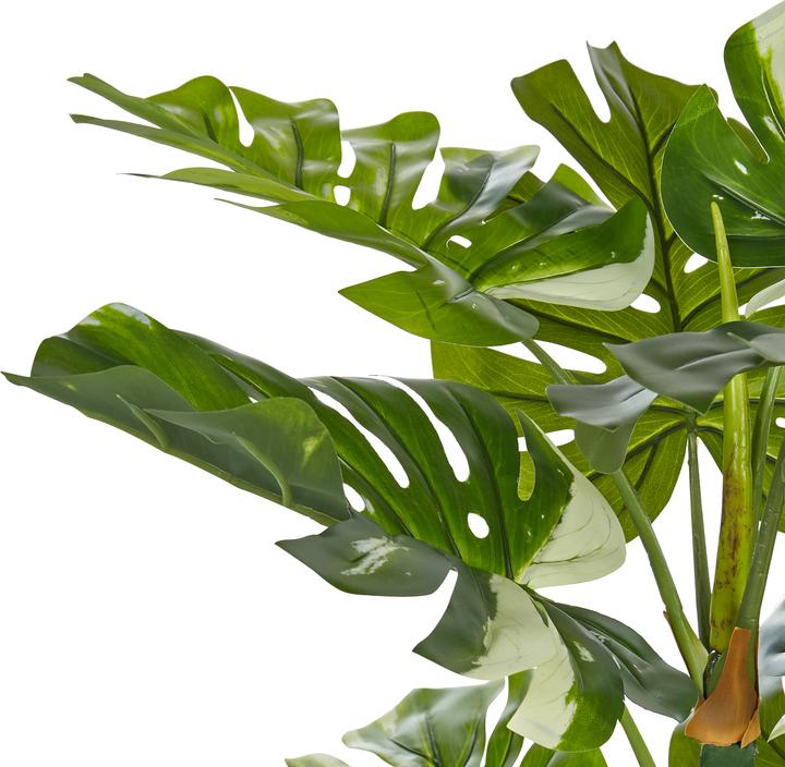 Immagine prodotto Beliani Monstera Plant (135 cm)
