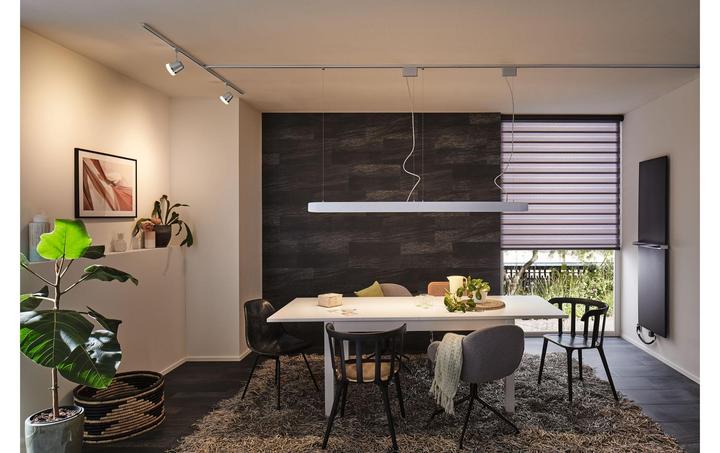 Image du produit Paulmann URail Cone