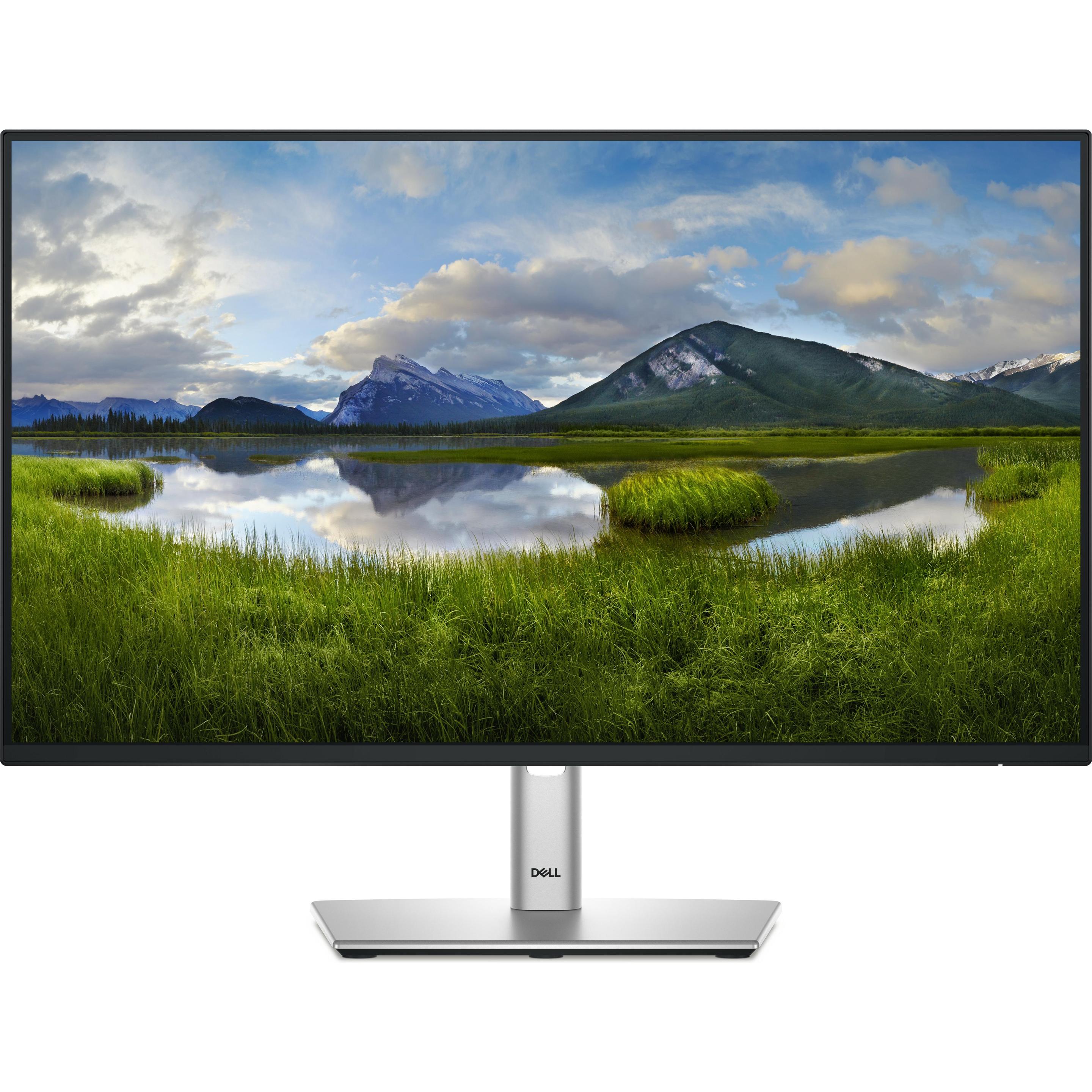 Dell P2425HE (1920 x 1080 Pixel, 23.80"), Monitor