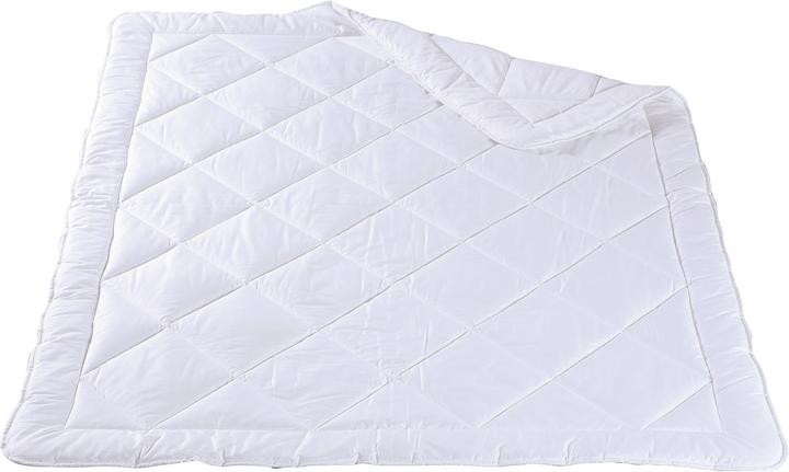 Image du produit DOR Bambus (1260 g, 200 x 210 cm)