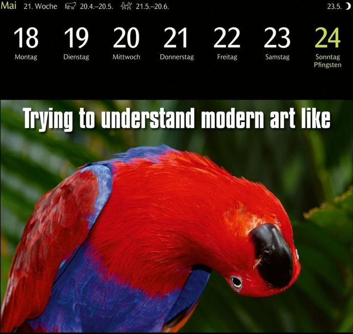 Actual product image Harenberg Animal Memes Postkartenkalender 2026 - 53 tierisch witzige Postkarten (Hardcover, English, German)