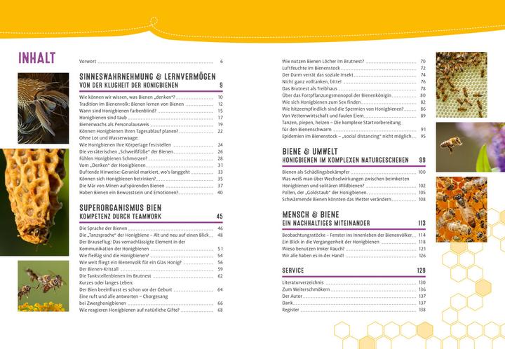 Image du produit Auch Bienen haben Schweissfüsse (Allemand, Jürgen Tautz, 2024)
