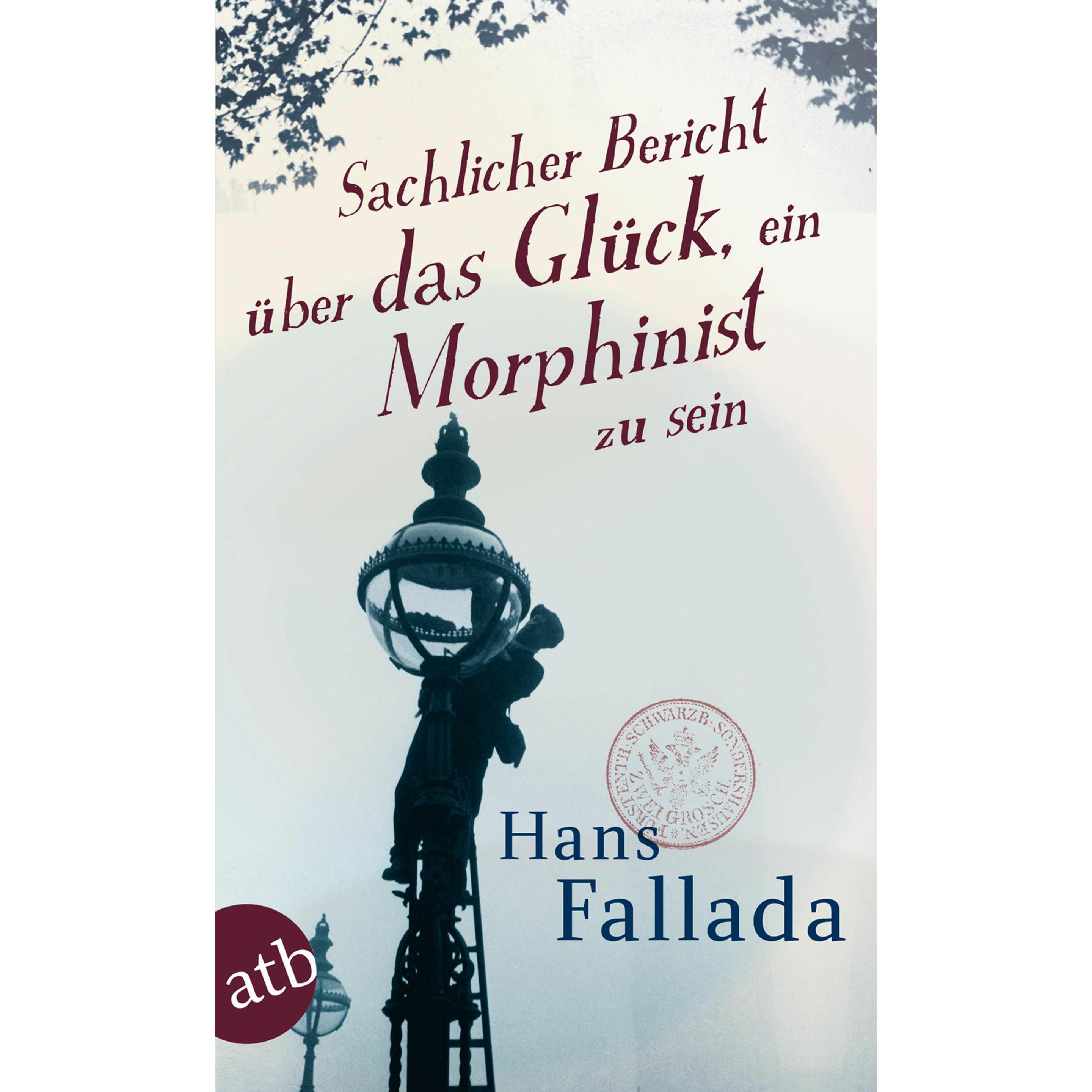 Sachlicher Bericht über das Glück, ein Morphinist zu sein, Belletristik von Hans Fallada