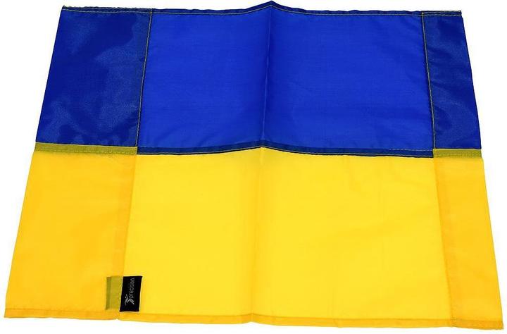 Precision Eckfahne Fussball