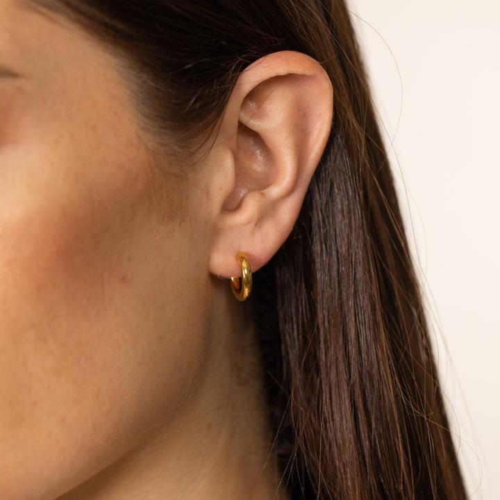 Immagine prodotto Purelei Orecchini coraggiosi (Acciaio inossidabile placcato oro 18 carati)