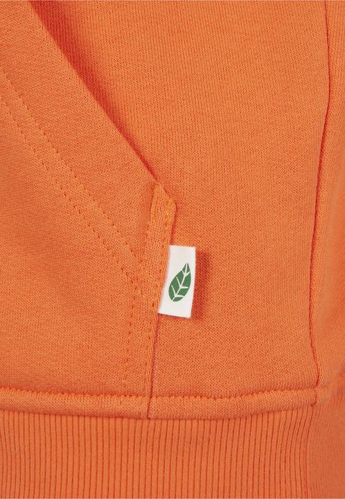 Image du produit Urban Classics Organic Basic Hoody (S)