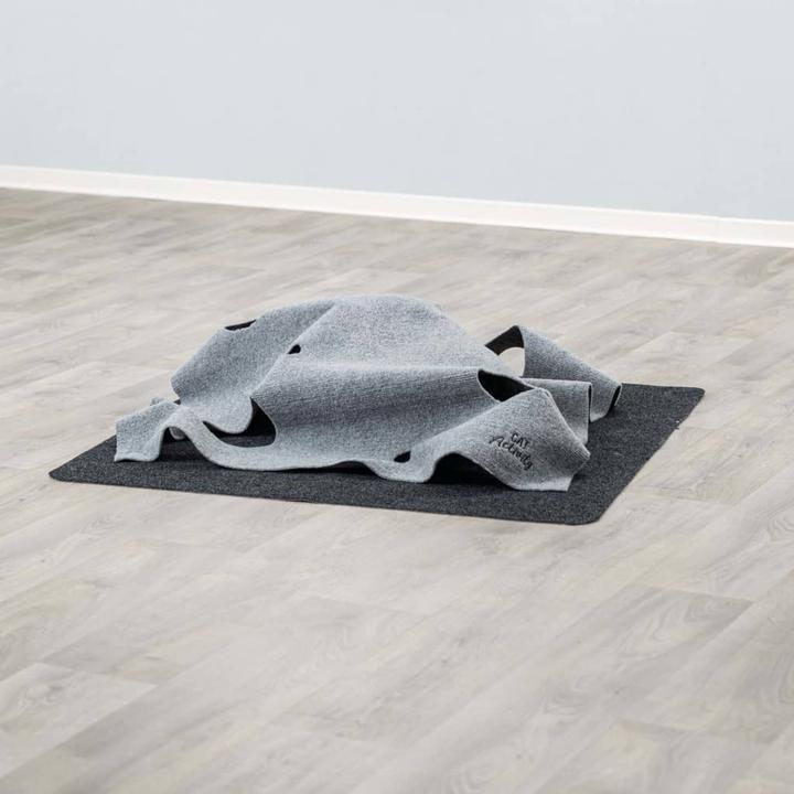 Actual product image Trixie Adventure Carpet (Catmint toy)