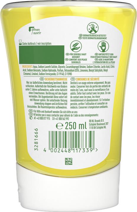 Actual product image Dettol Jester (refill, 250 ml)