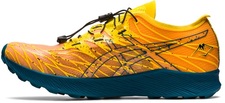 Actual product image ASICS Performance Fujispeed (44)