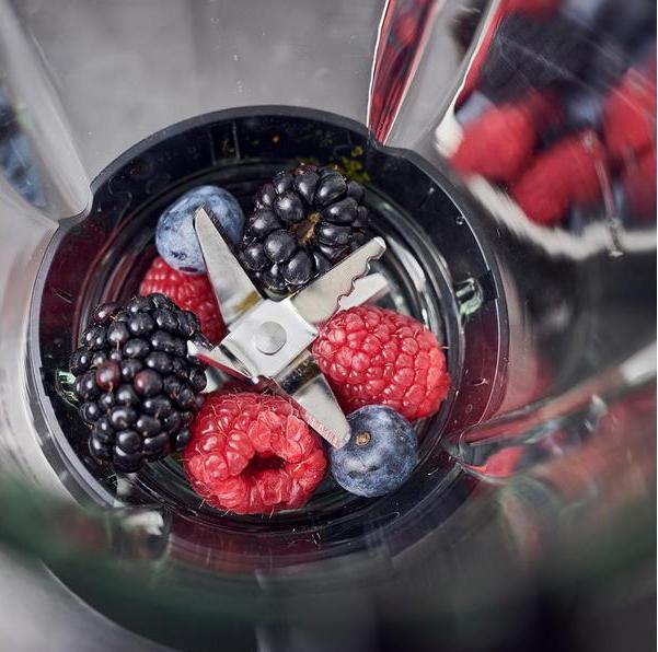 Image du produit Gastroback Batteur sur socle Vital Mixer Plus 850 Watt, Argent/Noir (850 W)