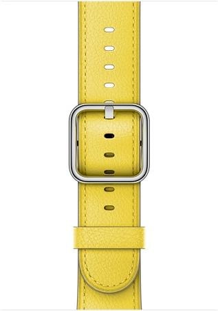Actual product image Apple Classic leather strap (42 mm, Leather, 44mm)