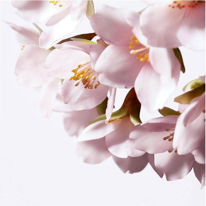 Image du produit Shiseido White Lucent - Sérum éclairant pour micro-taches (30 ml)