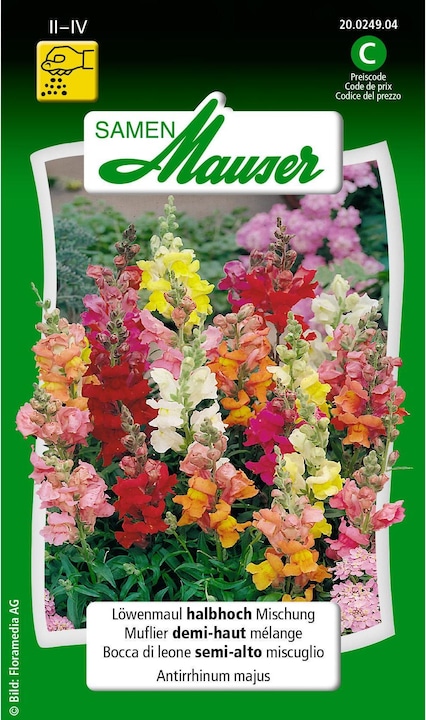 Gueule de loup mi-haute Mélange (Graines de plantes)