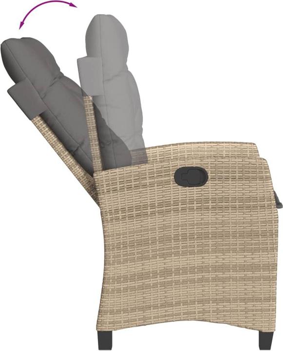 Actual product image vidaXL 10-piece garden lounge set with cushions